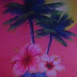 pretty lunchbox brand new